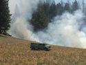 China Understory Project In Stanislaus National Forest