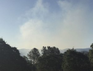 Fire Near Lime Kiln Road