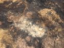 CAL Fire photo Ashes from a campfire not properly put out and sparked the Point Fire