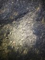 Wrapper from illegal fireworks found at the scene of the Bond Fire