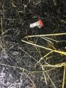 Wrapper from illegal fireworks found at the scene of the Bond Fire