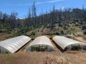 Three greenhouses used in illegal grow in Mountain Ranch