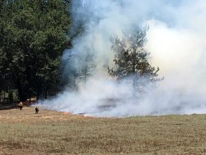 China Ridge Prescribed Fire