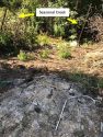Grow bust on Old Gulch Road San Andreas July 9 2019