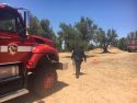 Lake View Fire trimmer that sparked blaze