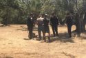Lake View Fire trimmer that sparked blaze