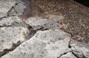 Bubbling Liquid along Mechanical Drive in Sonora