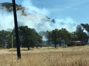 Fire on Parrotts Ferry Road
