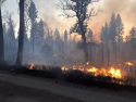 Bear Mountain Prescribed Burn