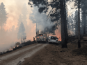 Bear Mountain Prescribed Burn