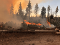 Bear Mountain Prescribed Burn