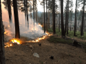 Bear Mountain Prescribed Burn