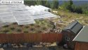 Illegal grow bust in Calaveras County