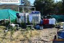 Illegal grow bust in Calaveras County