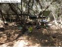 Illegal grow bust in Calaveras County