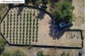 Illegal grow bust in Calaveras County