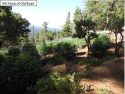Illegal grow bust in Calaveras County