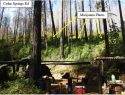 CCSO grow bust off Cedar Springs Road Aug 2019