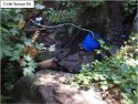CCSO grow bust off Cedar Springs Road Aug 2019