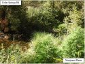 CCSO grow bust off Cedar Springs Road Aug 2019