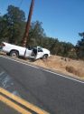 Pickup versus a power pole in Copperopolis