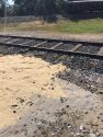 Railtown 1897 State Historic Park fuel spill.