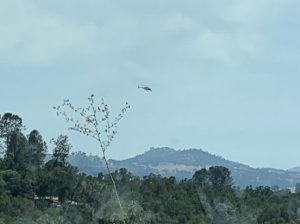 Low flying helicopter spotted in East Sonora