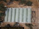 CCSO Hubbard Rd Sheep Ranch Grow Bust Sept 5 2019