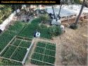 Grow Bust Prussian Hill Rd aerial CCSO Photo Sept 2019