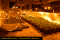Grow Bust Prussian Hill Rd indoor grow CCSO Photo Sept 2019