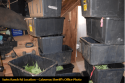 Grow Bust Swiss Ranch Rd marijuana in containers CCSO Photo Sept 2019