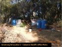 Grow Bust detail Armstrong Rd CCSO Sept 2019