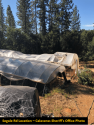 Grow bust Segale Road Sept 25 2019