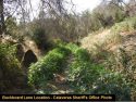 Illegal pot grow on Buckboard Lane in Copperopoli