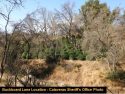 Illegal pot grow on Buckboard Lane in Copperopoli