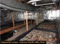 Illegal pot grow on Simpson Road in Rail Road Flat