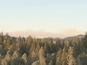 Smoke from planned fire in Groveland Ranger District