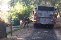 Checking for Smoke on June Street