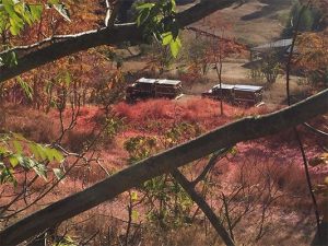 Fire behind Clark Pest Control on Hospital Road in Sonora