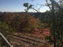 Red retardant on the ground by the railroad tracks behind Clark Pest Control on Hospital Road