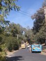 Vegetation Fire on Mono Way in Tuolumne County