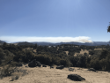 Prescribed Burn At Crook Ranch