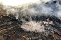 Dumped ashes that ignited a vegetation fire