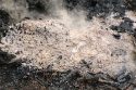 Dumped ashes that ignited a vegetation fire
