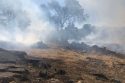 Sardella training and prescirbed burn southeast of Sonora