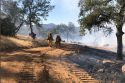 Sardella training and prescirbed burn - Archive Photo