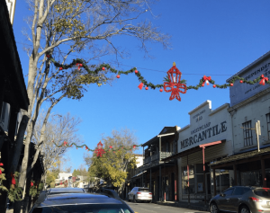 Holiday Decorations From Nature