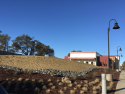 James Dalton Medical Offices landscaping planted