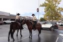 Tuolumne County Sheriff's Mounted Patrol