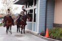 Tuolumne County Sheriff's Mounted Patrol